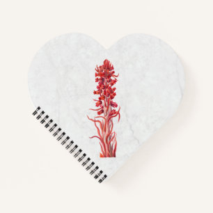 Snow Flower Notebook