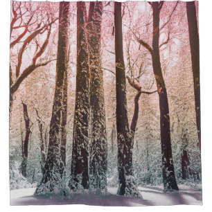 SNOW FOREST NATURE