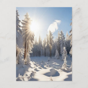 Snow Forest Postcard