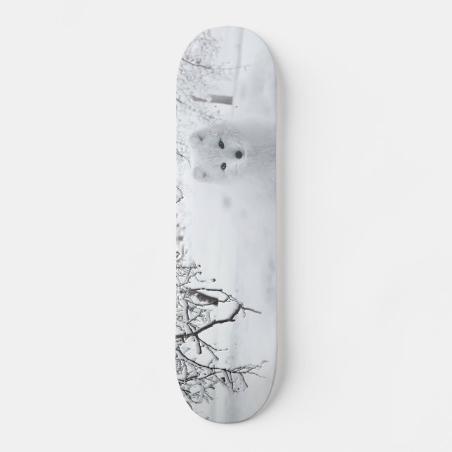 Snow Fox in Winter Woods Skateboard (Front)