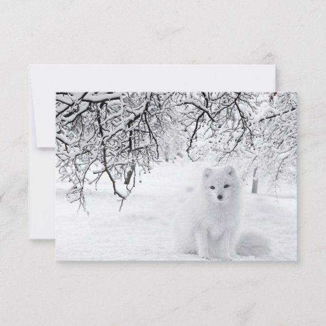 Snow Fox in Winter Woods Thank You Card (Front)