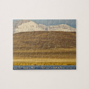 Snow geese during spring migration jigsaw puzzle