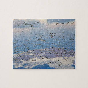 Snow geese during spring migration jigsaw puzzle