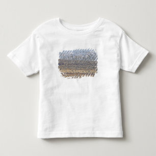 Snow geese during spring migration toddler t-shirt