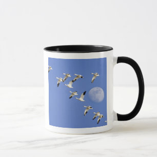 Snow geese take flight at Freezeout Lake NWR Mug