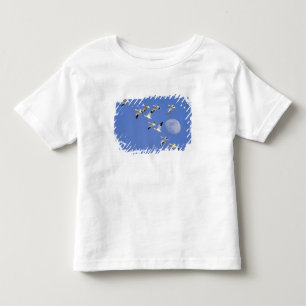 Snow geese take flight at Freezeout Lake NWR Toddler T-shirt