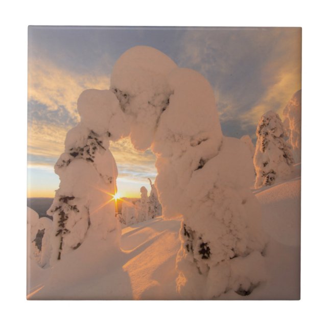 Snow Ghosts In The Whitefish Range Tile (Front)