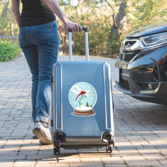 Snow Globe Dragonfly (Suitcase Insitu)
