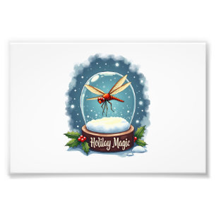 Snow Globe Dragonfly Photo Print