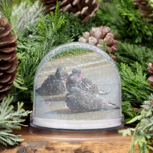 Snow Globe - Pigeons