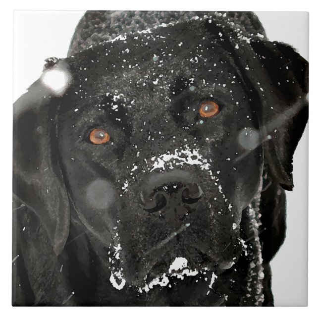 Snow Globe - Snow Dog - Black Labrador Tile (Front)