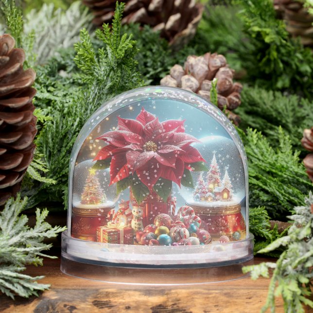 Snow Globes In  Snowglobe (Winter)