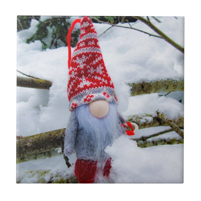 Snow Gnome 04 Tile (Front)
