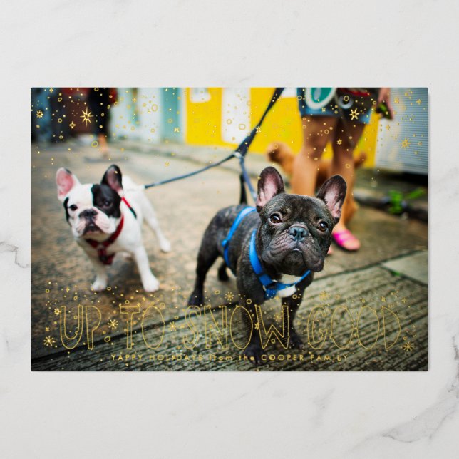 Snow Good | Pet Holiday Photo Card (Front)