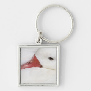 Snow Goose Chen caerulescens Keychain