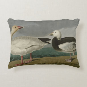 Snow Goose from Audubon's Birds of America Accent Pillow