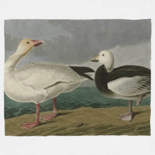 Snow Goose from Audubon's Birds of America Fleece Blanket