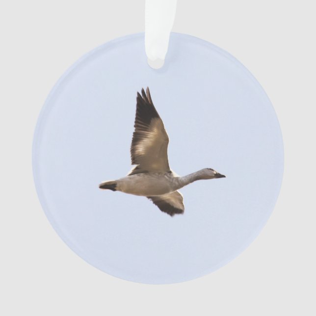 Snow Goose Ornament (Front)