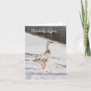 Snow Goose Strut Thinking Of You Card