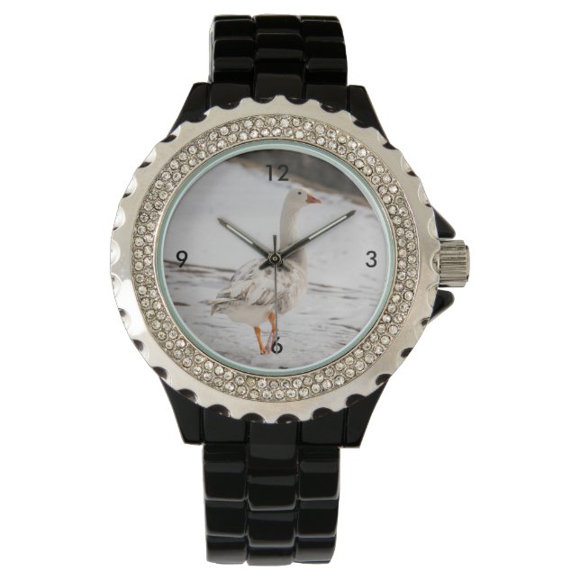 Snow Goose Strut Watch (Front)