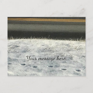 Snow Grass Foot Prints Winter Your Text Postcards