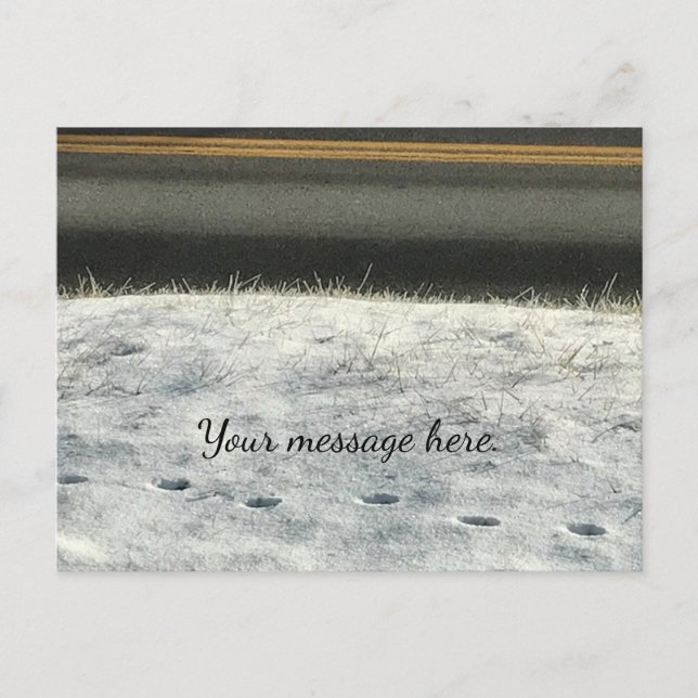 Snow Grass Foot Prints Winter Your Text Postcards (Front)