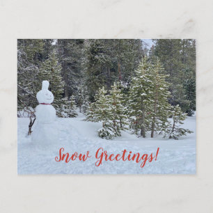 Snow Greetings from Tahoe City! Postcard