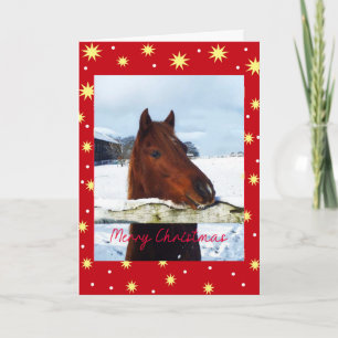 Snow horse Christmas Holiday Card