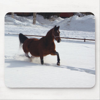 Snow Horse Mouse Pad