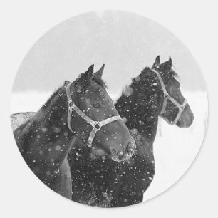 Snow Horses Classic Round Sticker