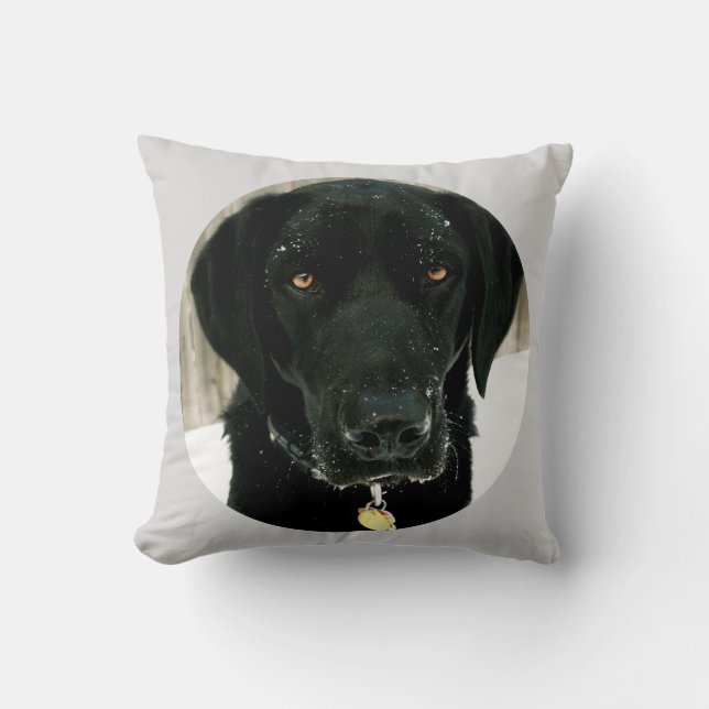 Snow how to Play Nice Black Lab Pillow (Front)