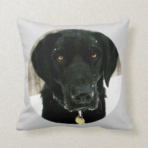 Snow how to Play Nice Black Lab Pillow