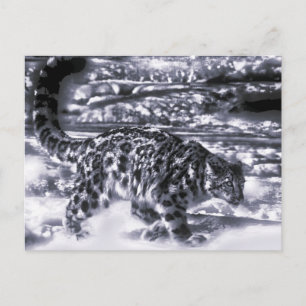 Snow Hunter 3 Postcard