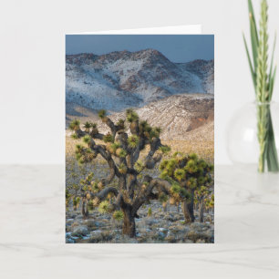Snow In Death Valley Card
