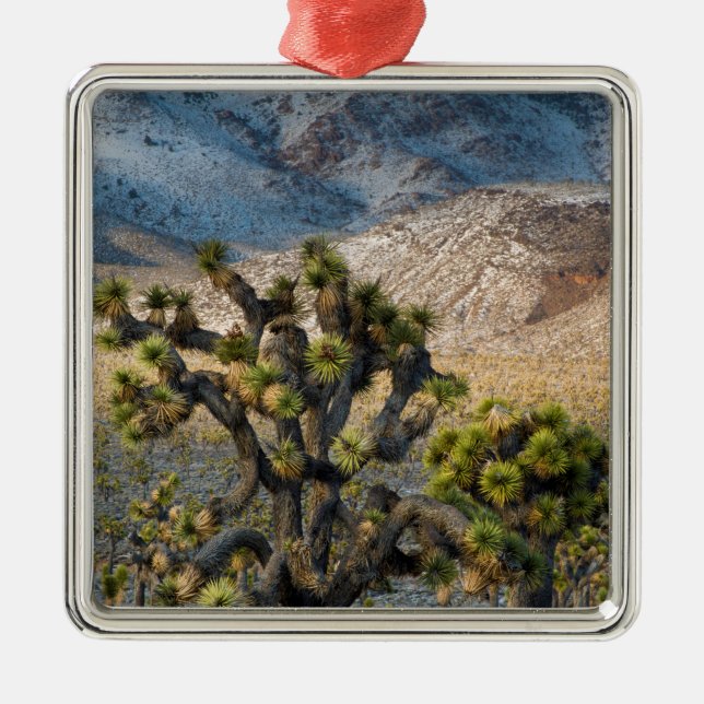Snow In Death Valley Metal Ornament (Front)
