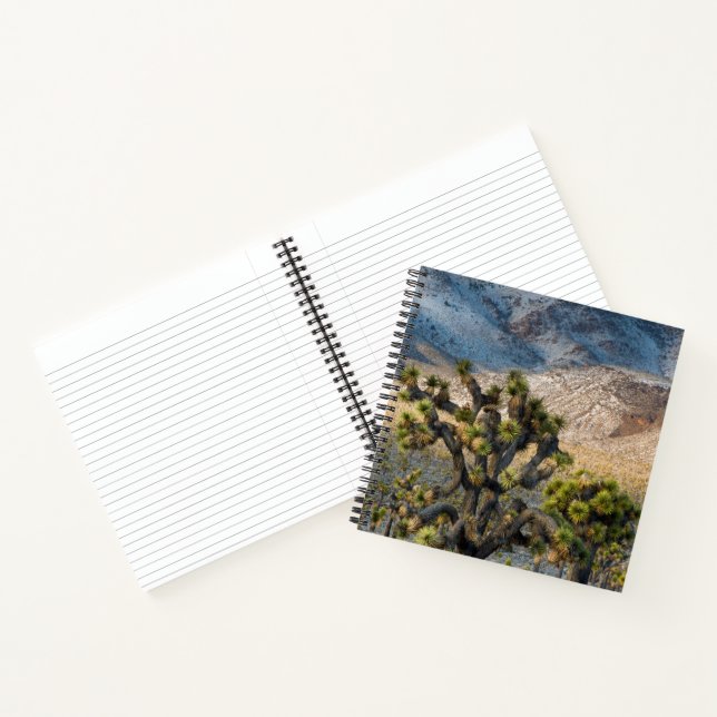 Snow In Death Valley Notebook (Inside)