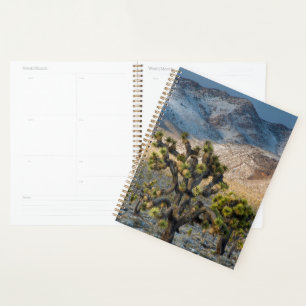 Snow In Death Valley Planner