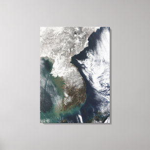 Snow in Korea Canvas Print