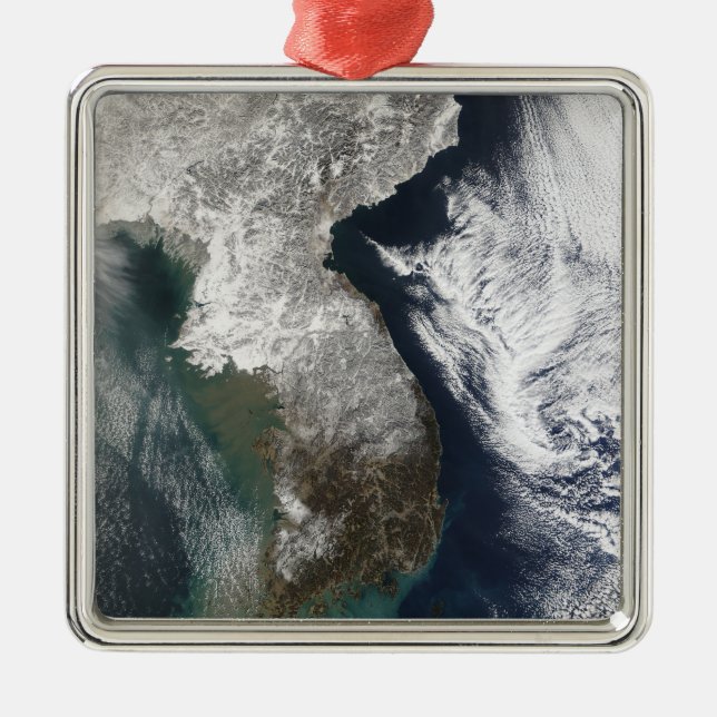 Snow in Korea Metal Ornament (Front)