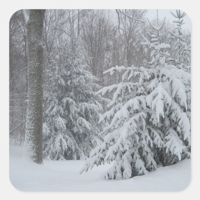 Snow In New England Sticker (Front)