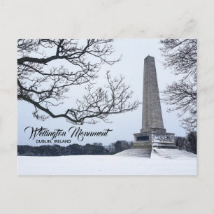 Snow in Phoenix Park, Dublin, Ireland Postcard