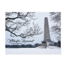 Snow in Phoenix Park, Dublin, Ireland