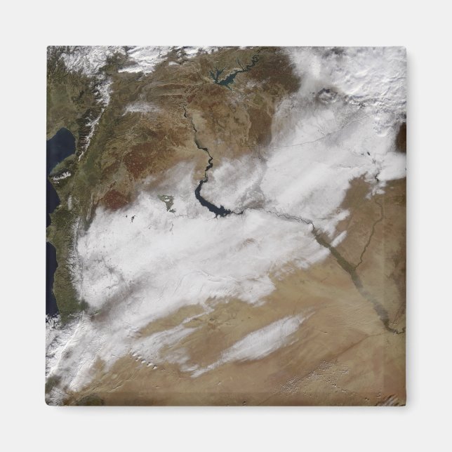 Snow in Syria Magnet (Front)