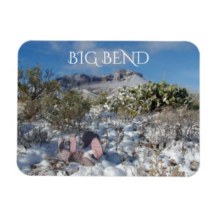 Snow in the Chisos Mountains, Big Bend Magnet