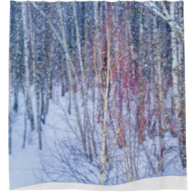 Snow In The Forest (Front)