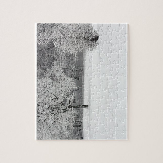 Snow in the Park Jigsaw Puzzle (Vertical)