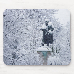 Snow in the Park Mouse Pad