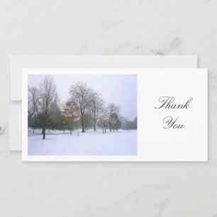 Snow in the Park - Thank You Card
