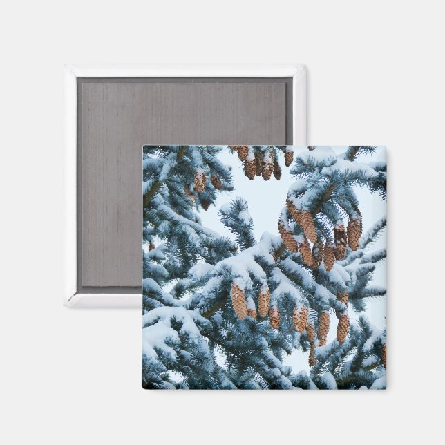 Snow in the Pines Magnet (Front/Back)