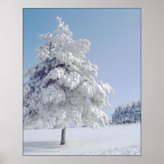 Snow Kissed Tree Poster